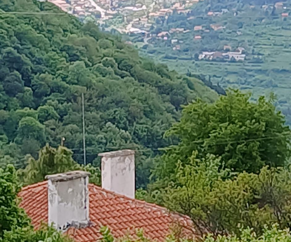 Къща в село Бов с голям парцел
